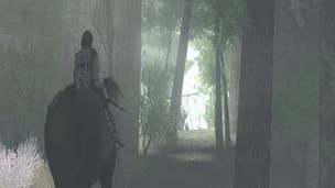 Ueda "flattered" Shadow of the Colossus is considered art by many