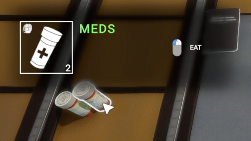 Two bottles of Meds side-by-side in the player’s inventory in Sons Of The Forest.