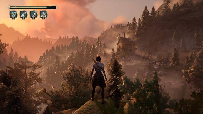 Hazel looks out over the forest at dusk.