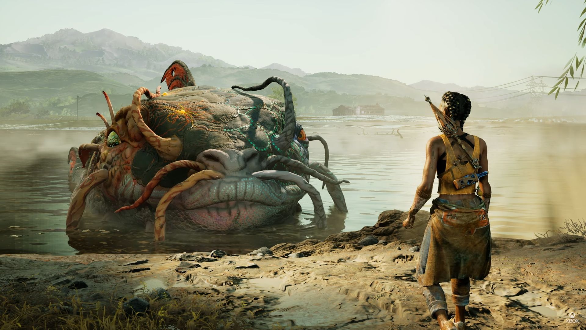 Hazel approaches her giant friend, a catfish, as he lies on the banks of a river. - 1