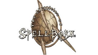 The Chronicles of Spellborn hand picking beta testers starting today