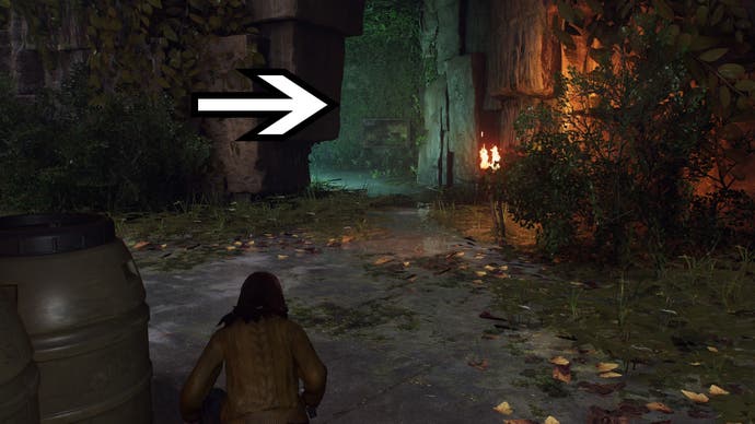 spider-man 2 mj facing entrance to lion cave and an arrow is pointing to the entrance.