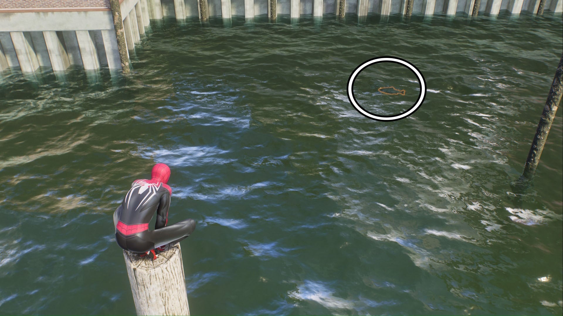 Spider-Man 2, Peter Parker&rsquo;s Spider-Man is crouching on a pole above water looking down at a fish which has been circled.