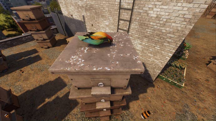 spider-man 2 queens apiary bee eating bird on top of nest box