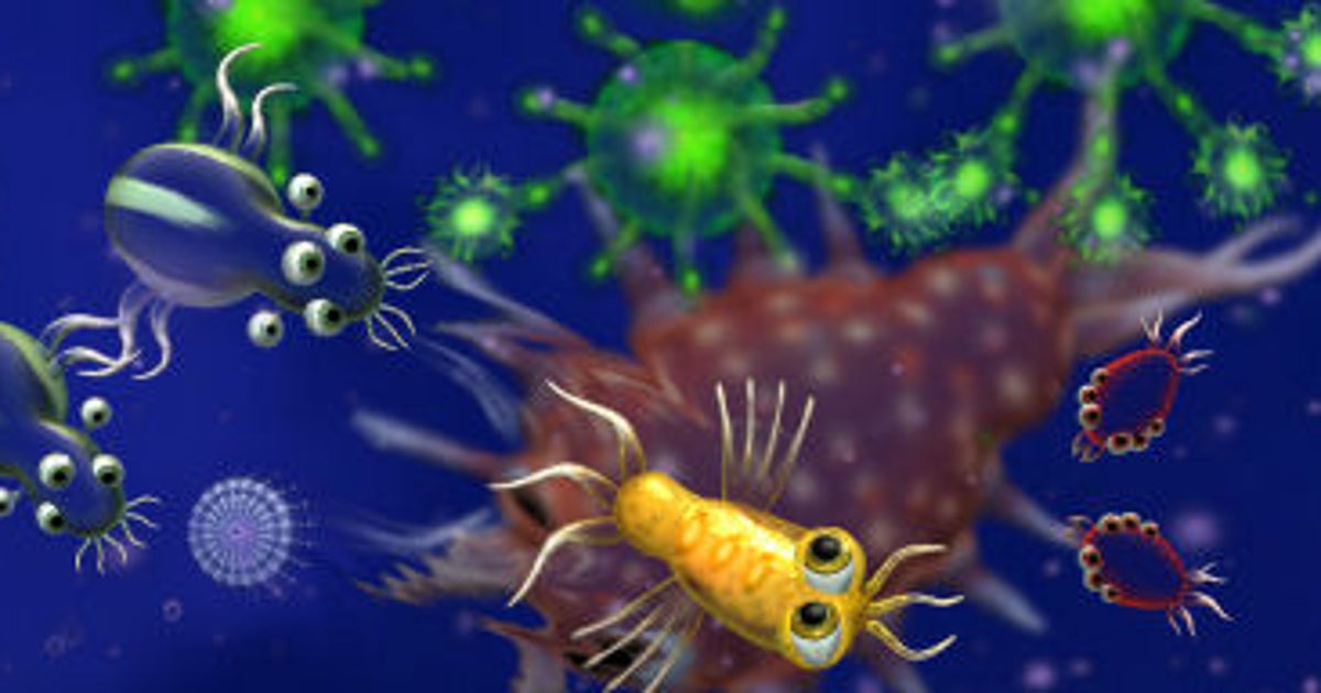 Spore Cell Phase Trailer Screenshots Rock Paper Shotgun spore-cell-phase-trailer-screenshots-rock-paper-shotgun