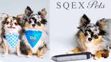 Two images with Squex Pets logo: two little dogs in blue Dragon Quest bandanas, plus a little dog lying down next to a Buster Sword pet toy