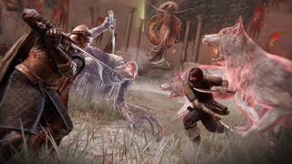 Screenshot from Elden ring showing two warriors fighting as two wolf summons assist with the battle