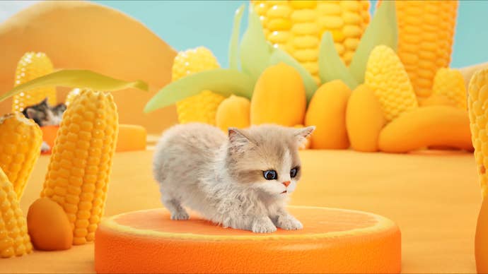 Catly screenshot showing fluffy kitten in surreal corn environment
