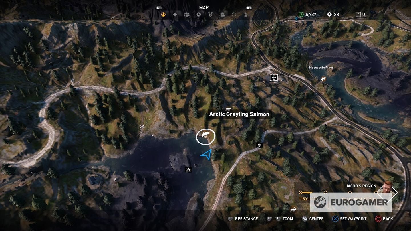 Дом удочек в горах уайттейл. Веслонос эксперт на карте фар край 5. Окунь фар край 5. Где найти грызли в фаркрай 5. Магазин дилана дом удочек far cry 5 на карте.