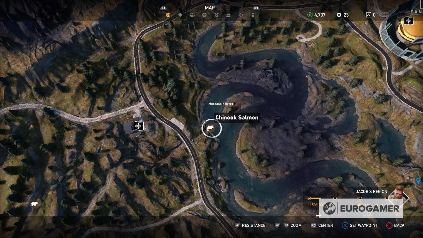 Веслонос эксперт на карте фар край 5. Far cry 5 осетр на карте. Где поймать осетра в far cry 5. Поймать окуня far cry 5. Far cry 5 осетр.