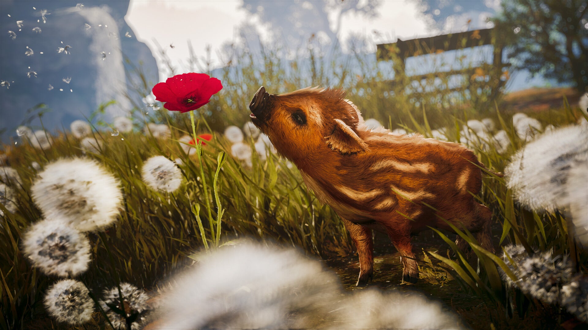 Auch wenn ihr es noch nicht wisst: Boris ist das Wildschwein, das ihr dieses Wochenende braucht!