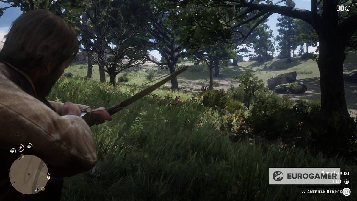 Red Dead Redemption 2 pelts - how to get perfect pelts, hides and