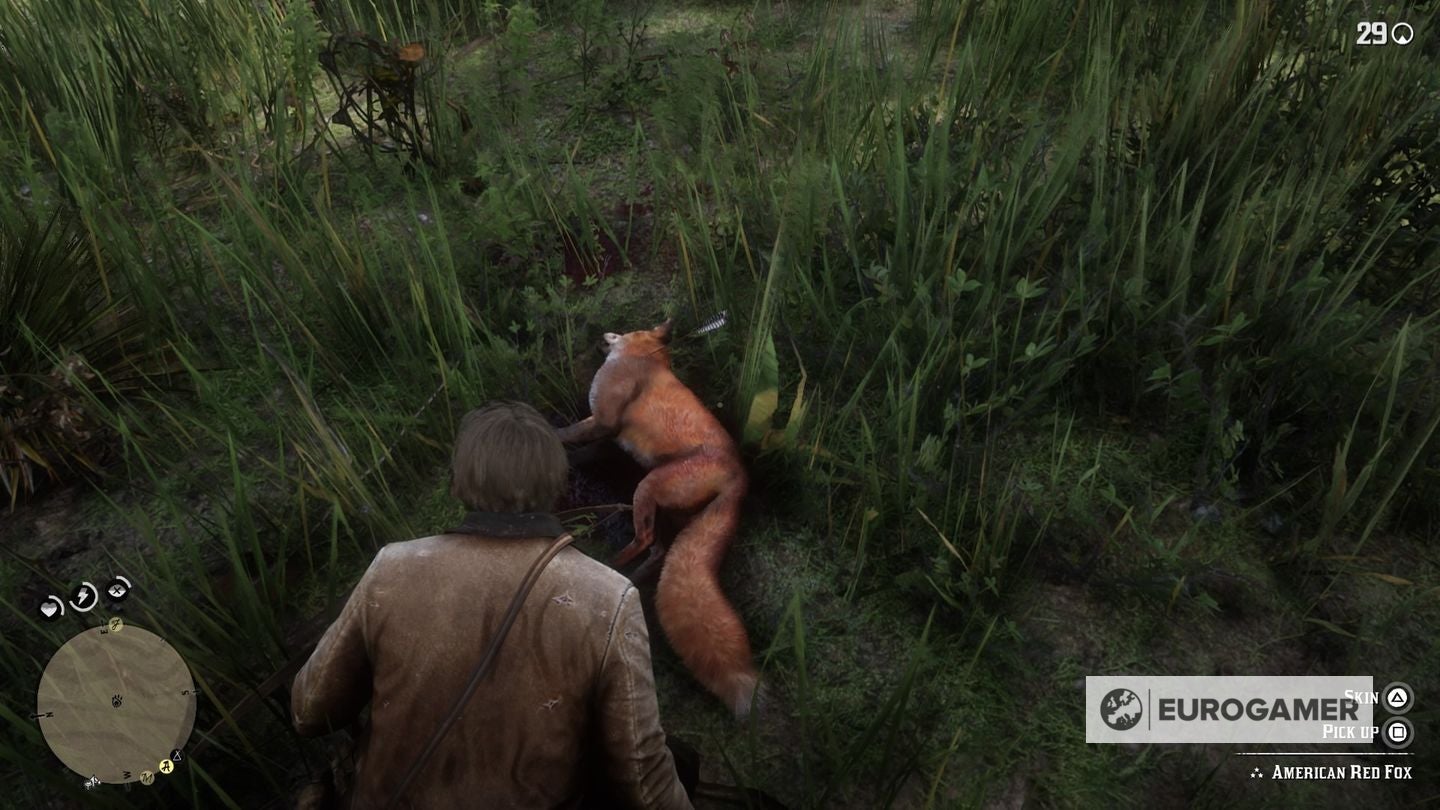 Red Dead Redemption 2 pelts - how to get perfect pelts, hides and skins ...
