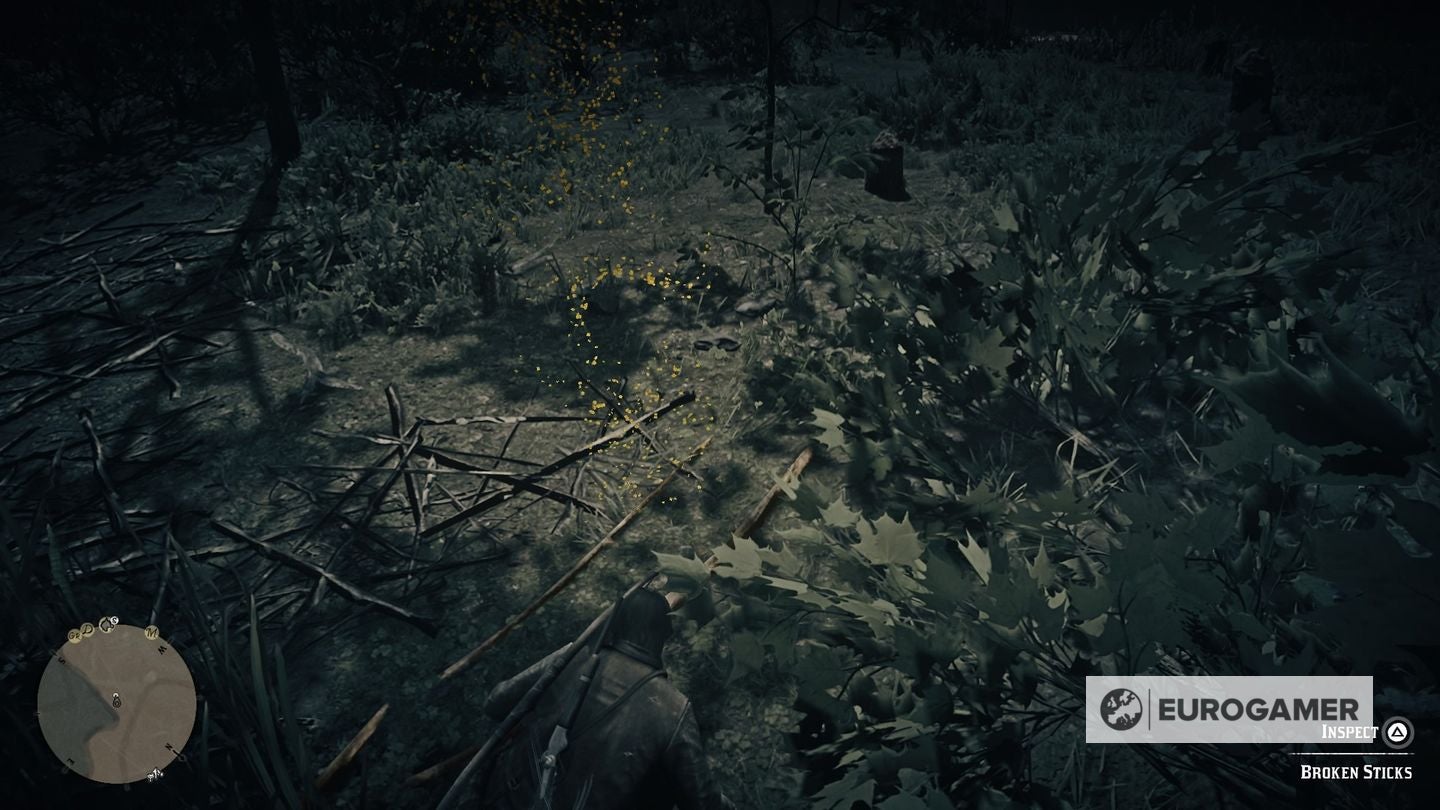 Beaver Rodent Rdr2 Red Dead Redemption 2 Legendary animal locations and how to defeat them ...