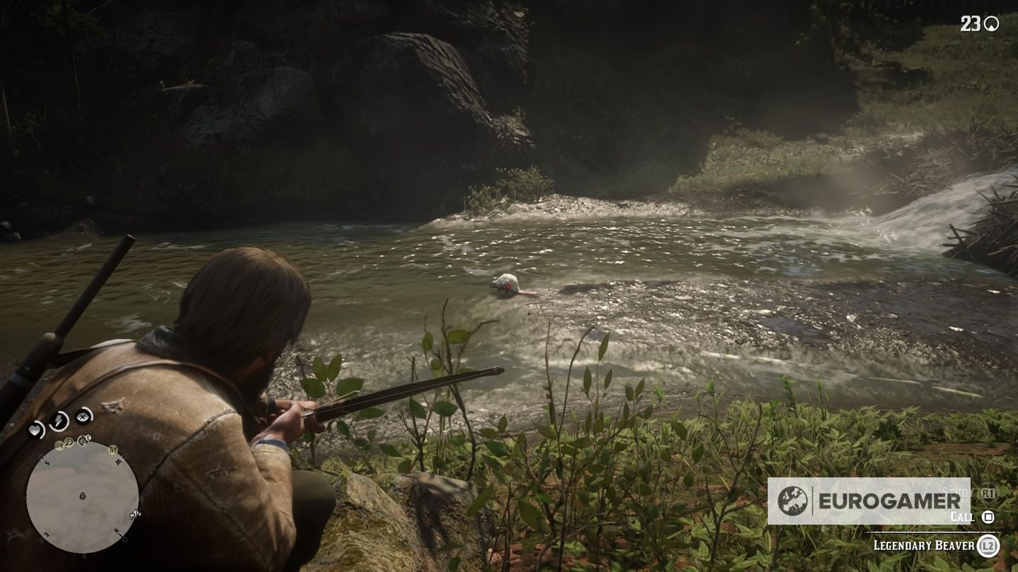 Beaver Rodent Rdr2 Red Dead Redemption 2 Legendary animal locations and how to defeat them ...