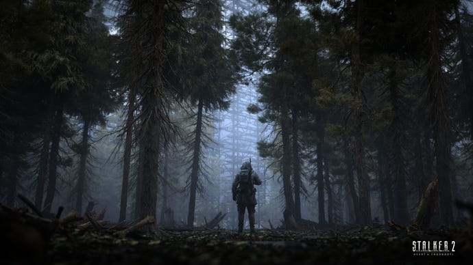 Walking through a dark pine forest in S.T.A.L.K.E.R 2