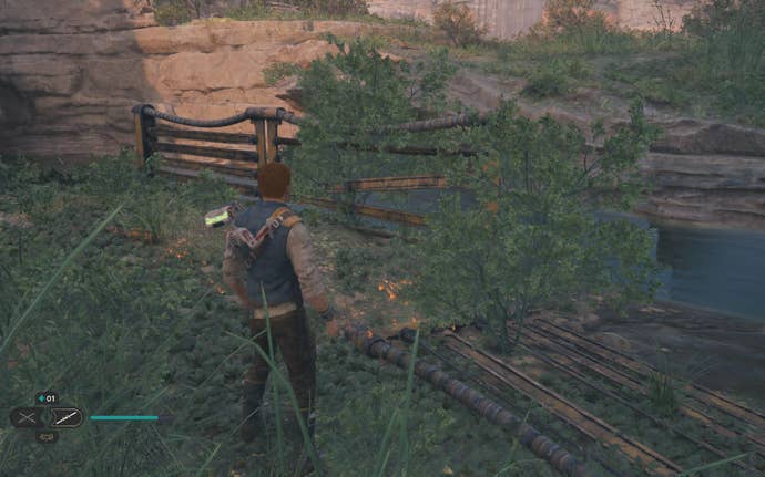 Cal cuts down a plant on Koboh in Jedi: Survivor.