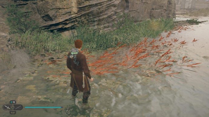 Cal approaches two glowing plants next to a river in Jedi: Survivor.