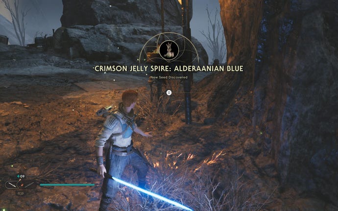 Cal approaches and picks up a collectible on Koboh in Jedi: Survivor.