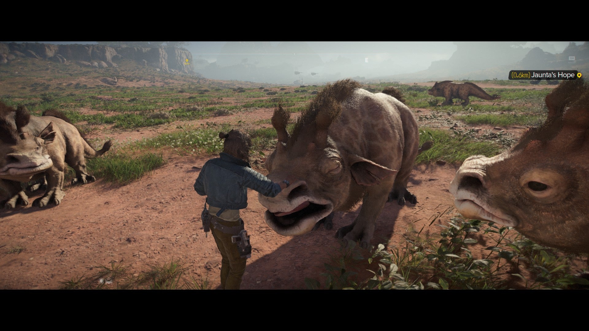 Kay pets some alien cattle in Star Wars Outlaws - 7