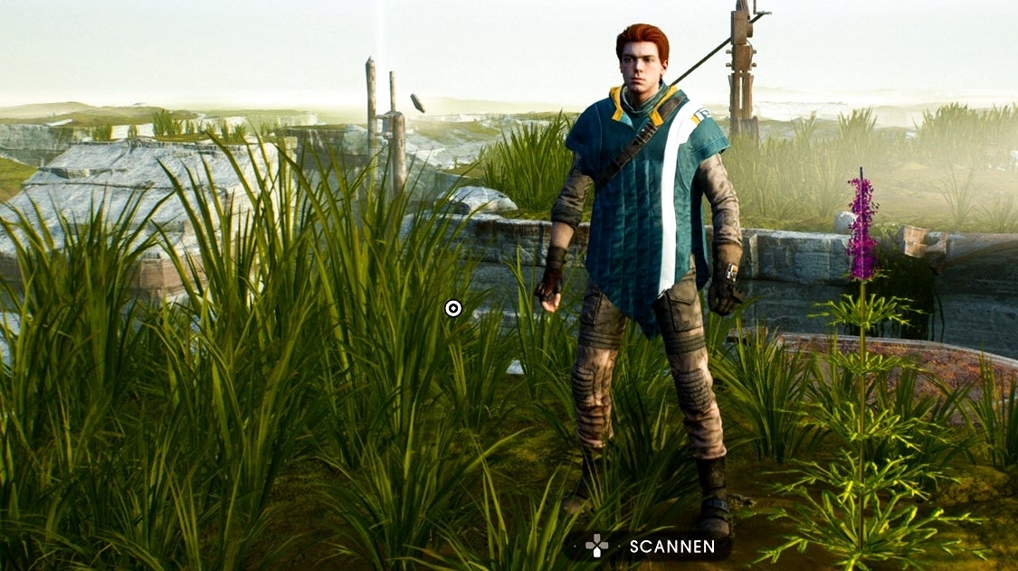 Star Was Jedi Fallen Order Alle TerrariumSamen und ihre genauen