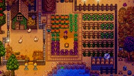 A farm up in Stardew Valley.