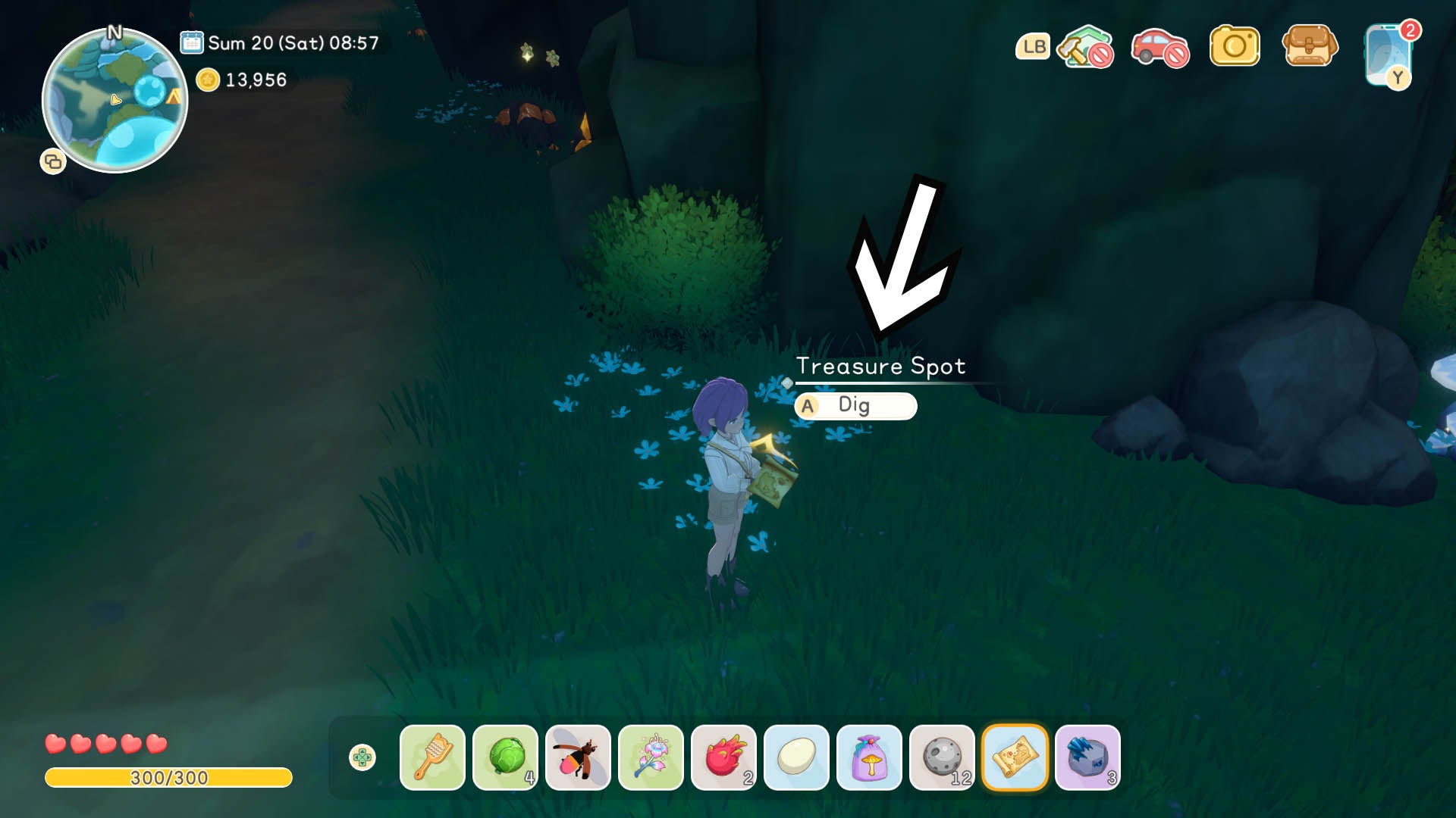 Starsand Island Moonlit Forest walkthrough | Eurogamer.net