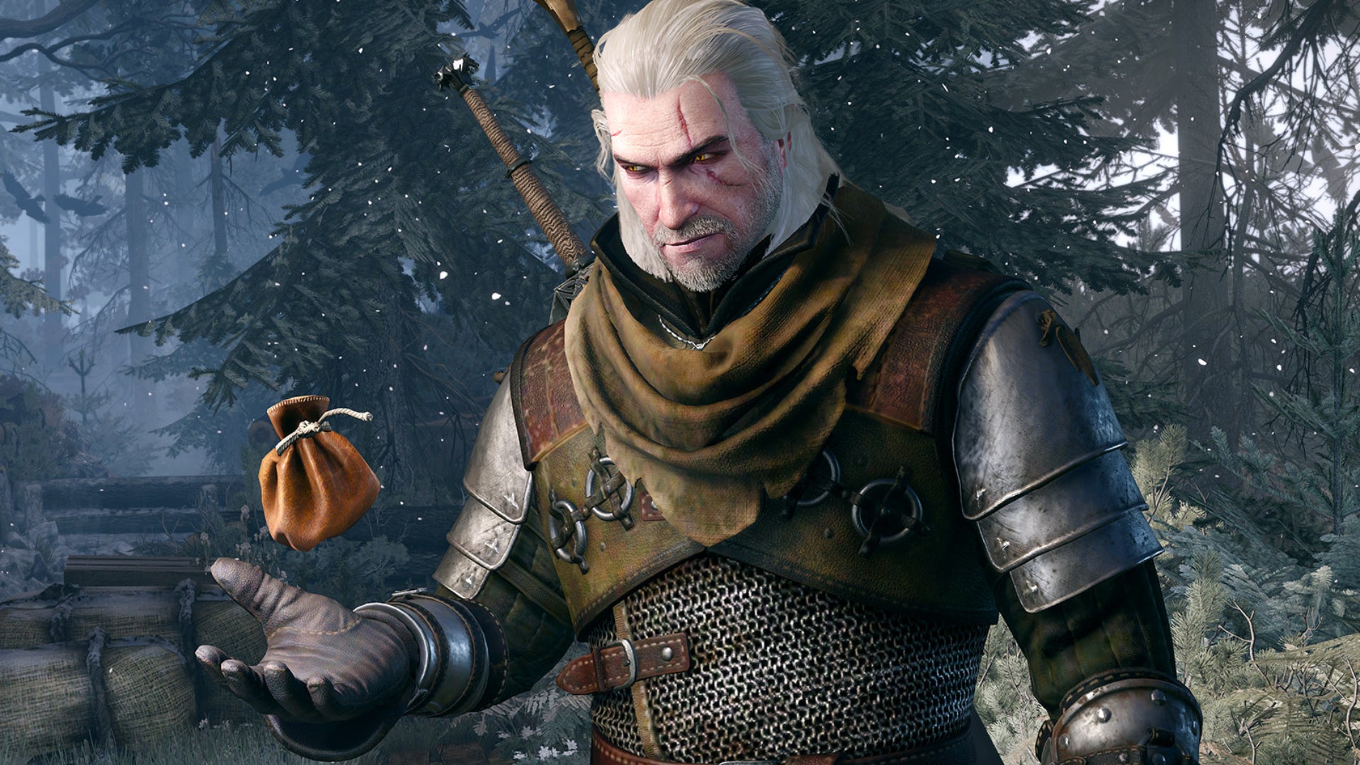 Geralt juggles a coin purse in The Witcher 3. - 1