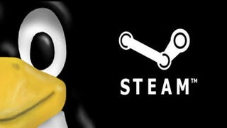 Steamy Not-Windows - Valve's Linux Beta Begins