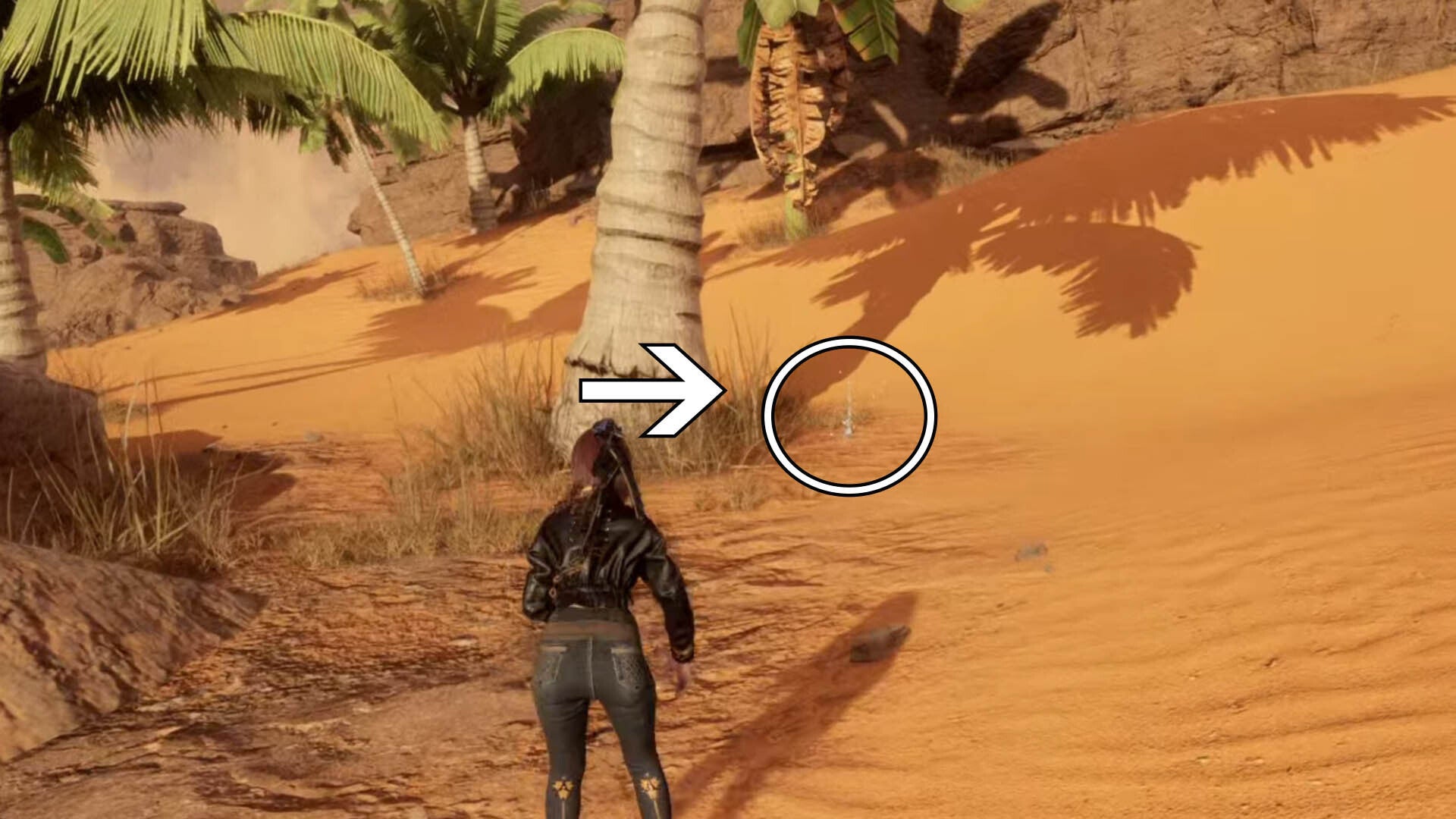 stellar blade great desert oasis stellar tear location beneath tree