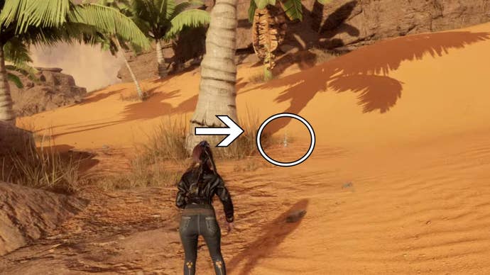 stellar blade great desert oasis stellar tear location beneath tree