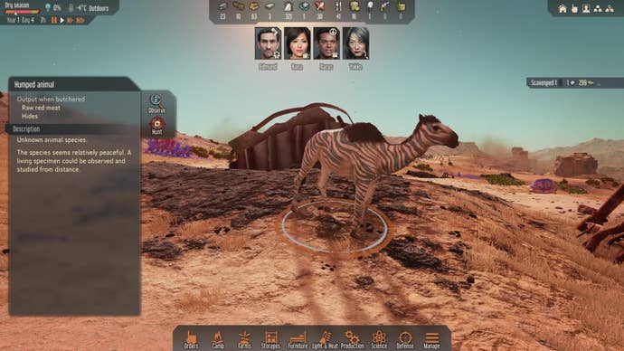 A zebra camel walks among wreckage in Stranded: Alien Dawn