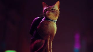Stray anunciado para a PS5, um jogo sobre um gato numa cidade cyberpunk