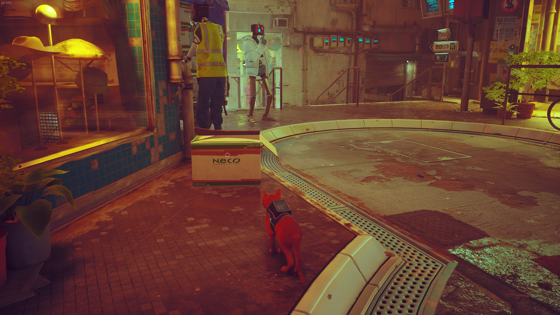 The cat of Stray looks at a box outside the Midtown hat store.