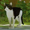 A screenshot of adorable tuxedo cat Maro modded into the video game Stray.