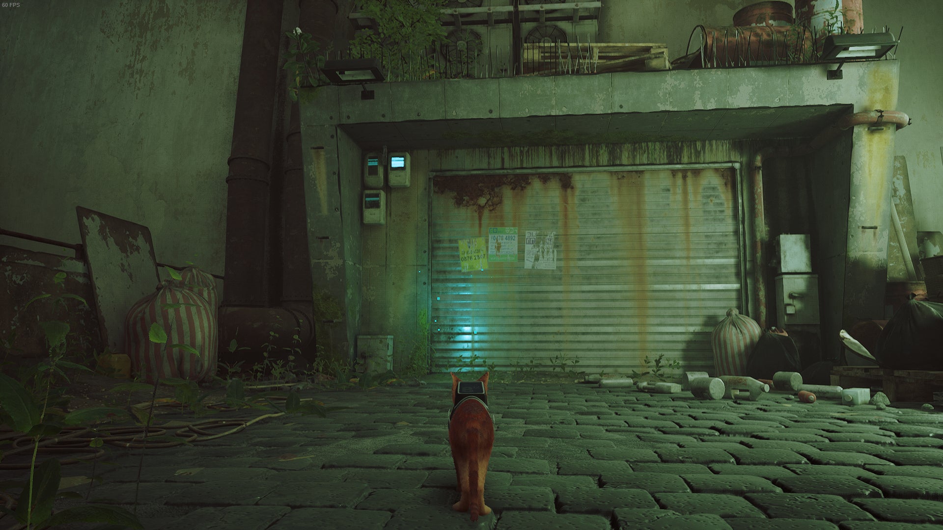 The cat of Stray looks at some shutters. - 14