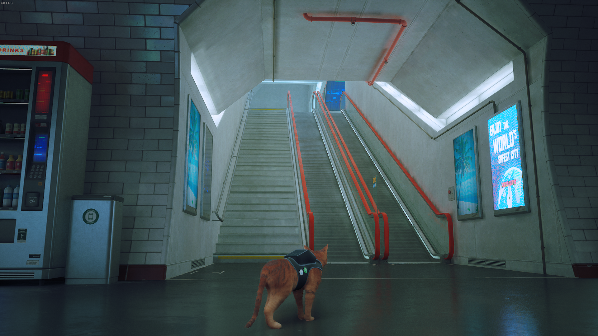 The cat of Stray looks at the escalators from the subway to the control room.