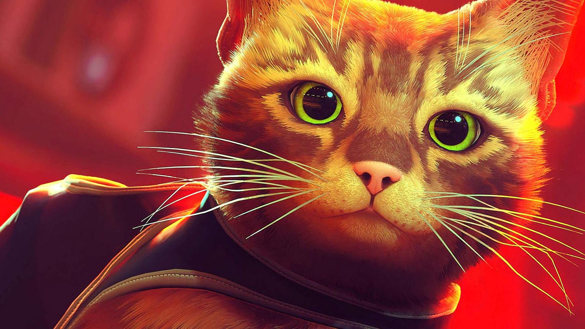 Stray's release date might've been accidentally leaked by the ...