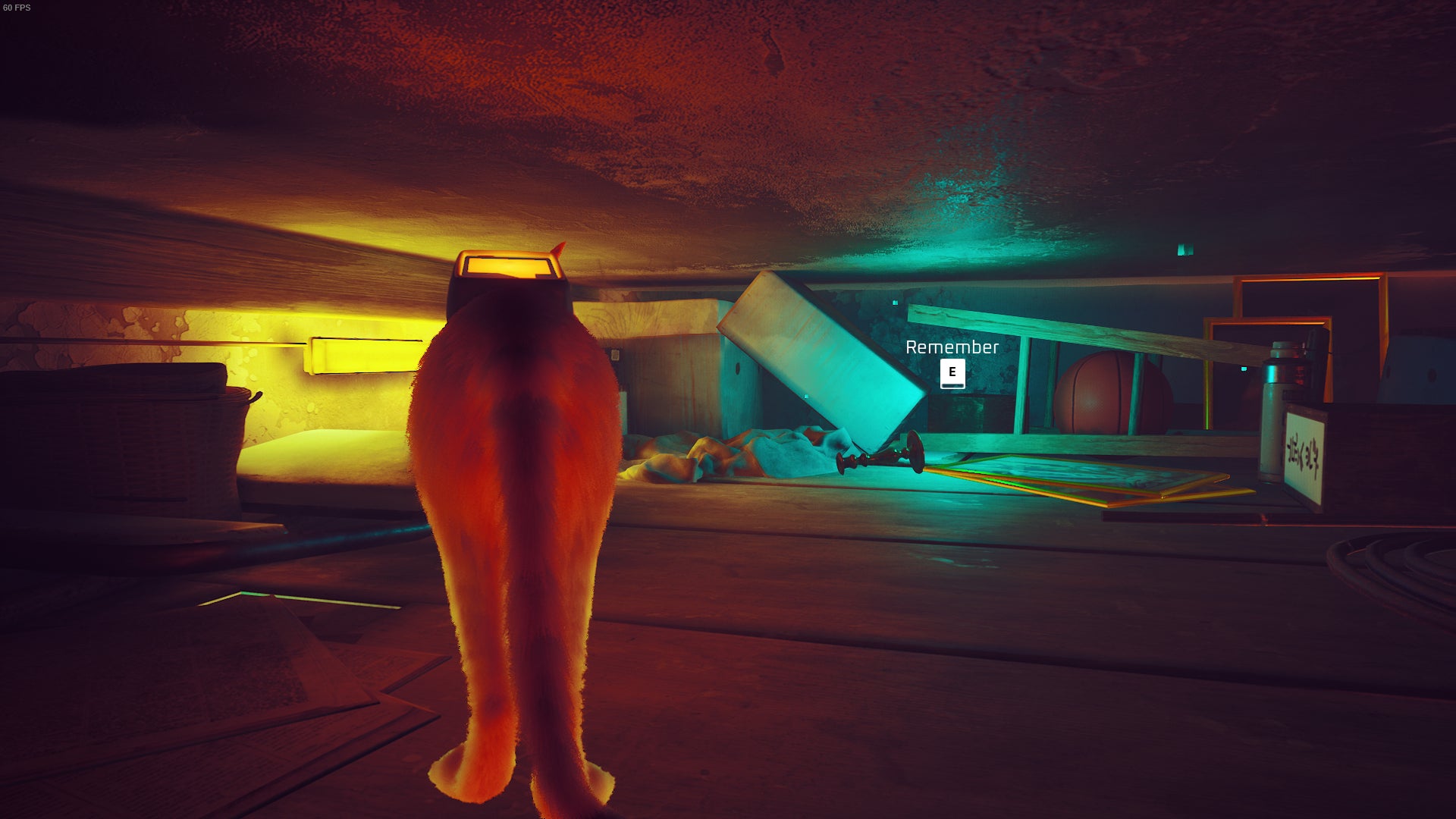 The cat of Stray looks at a memory in the attic of Midtown's Barber Shop. - 3