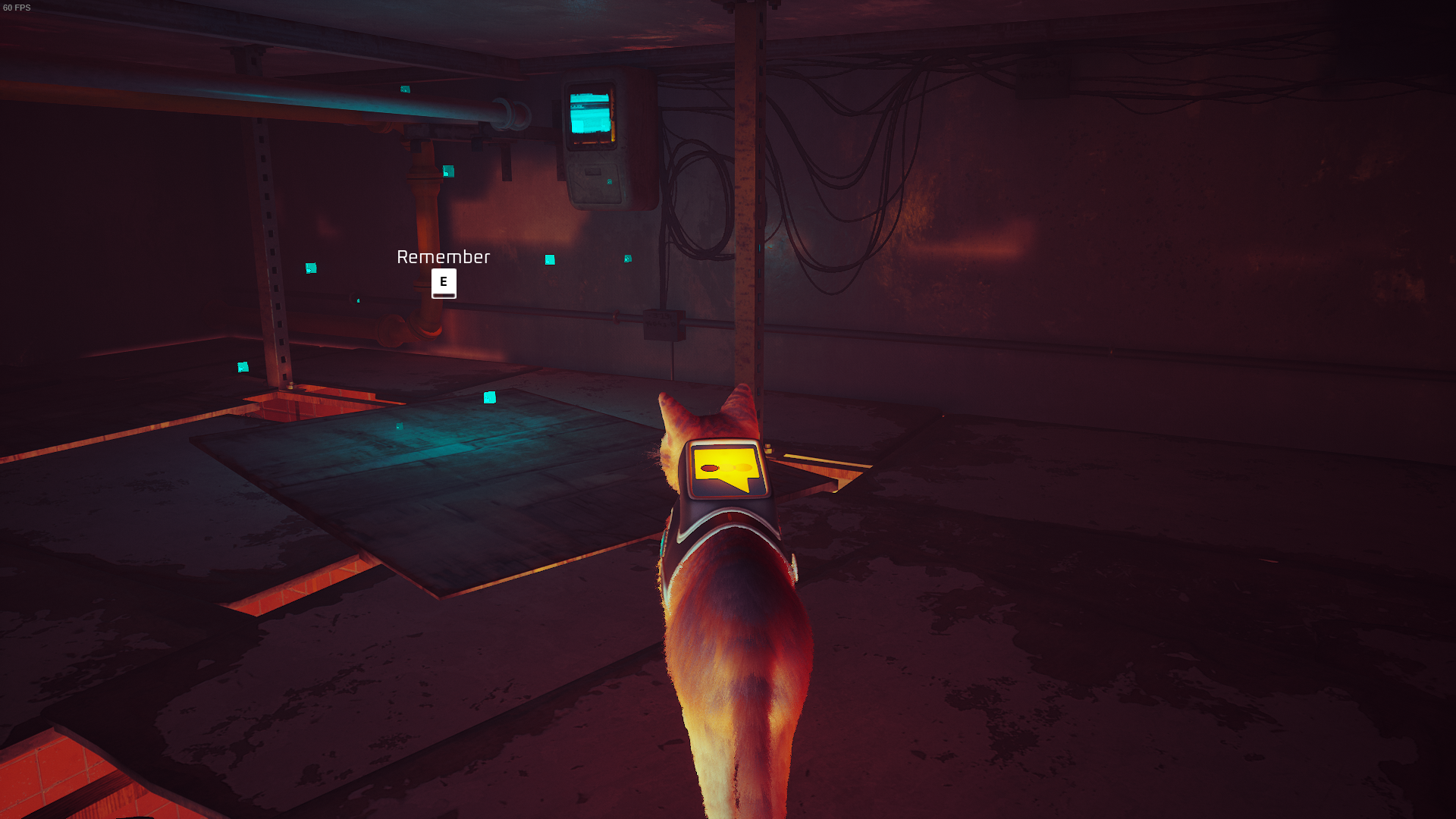 The cat of Stray looks at a memory in the dishevelled attic of a Midtown restaurant.