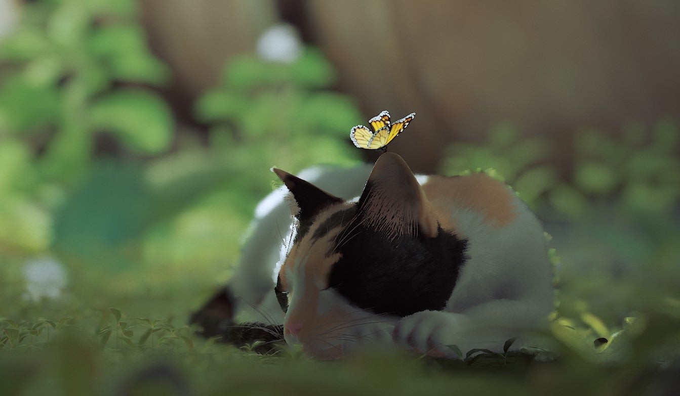 The Stray version of real calico cat Sunny, based on the modder&rsquo;s real cat.