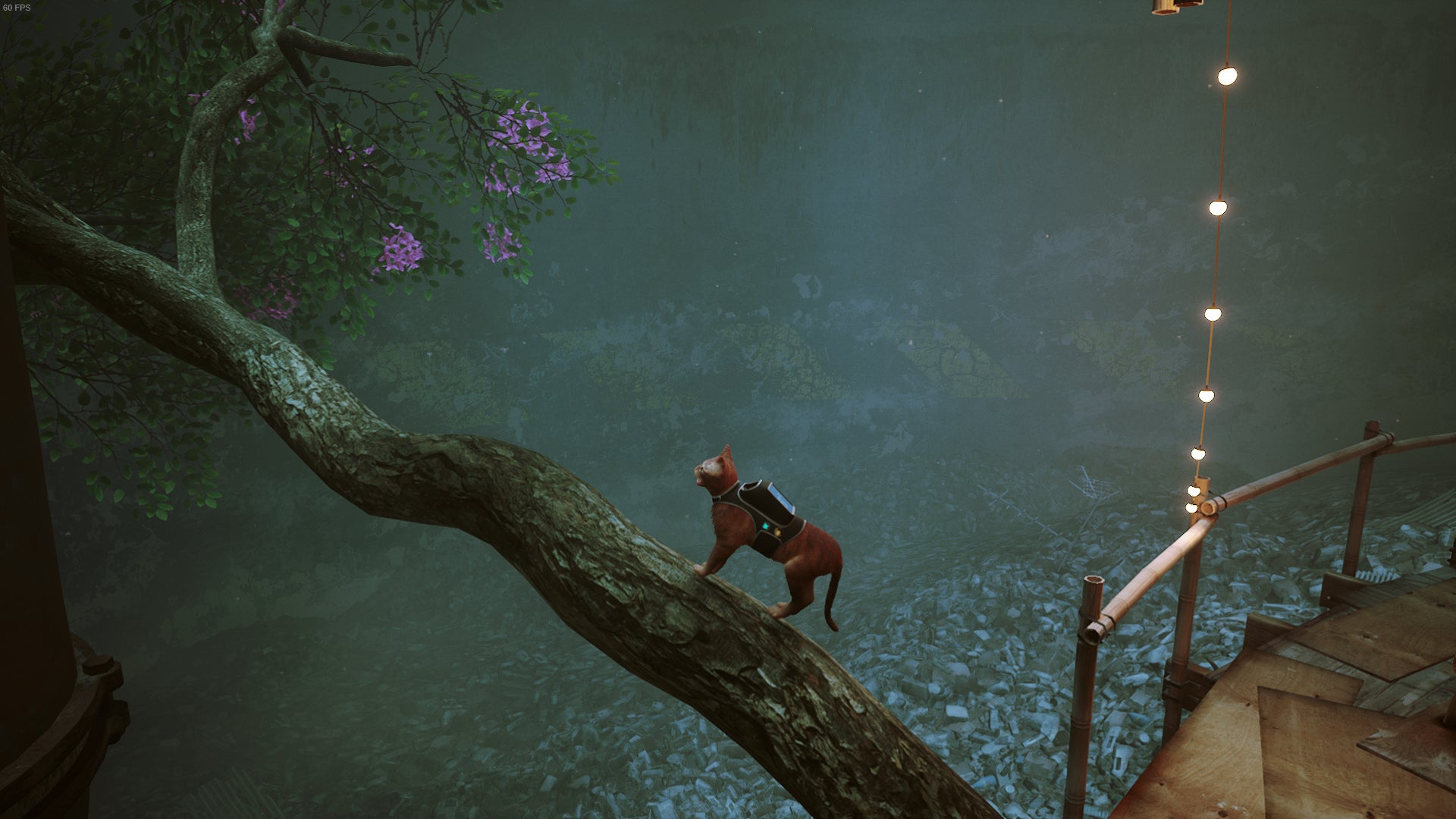 Where to find all Badges in Stray - 8