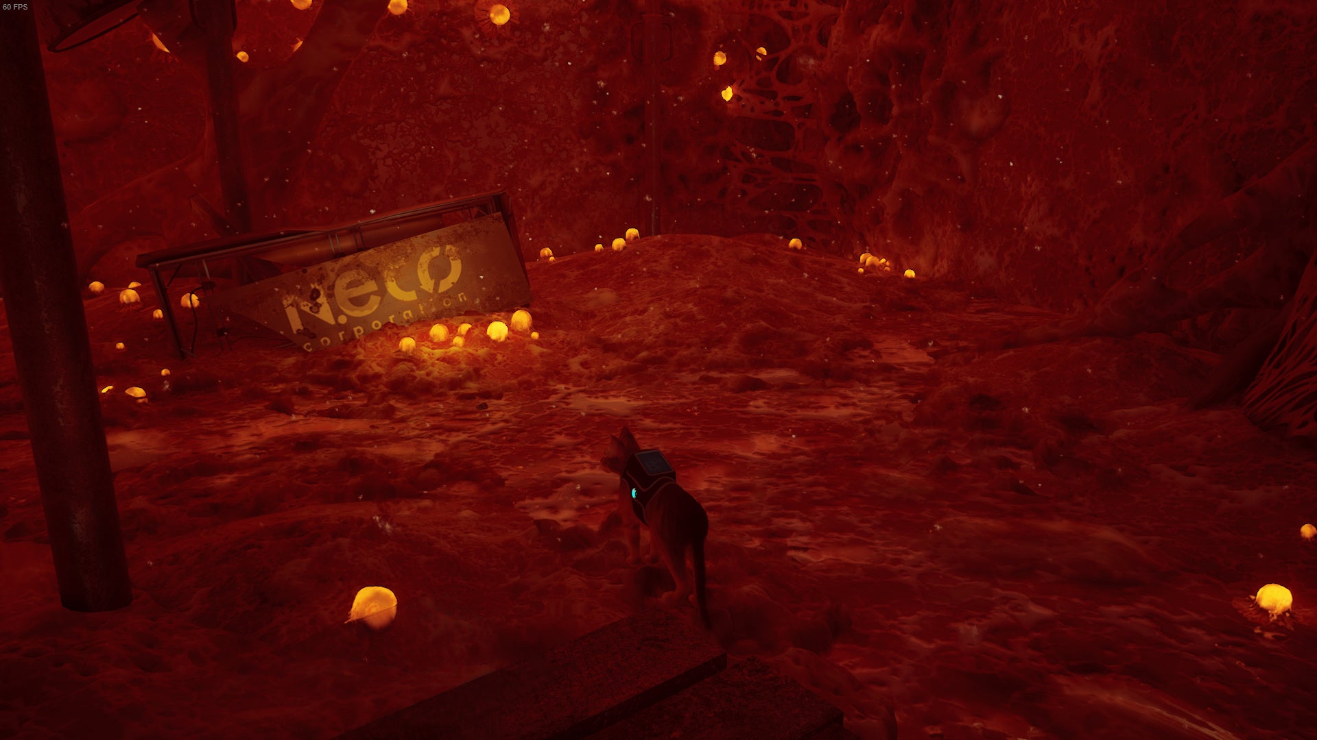 The cat of Stray looks at a box branded with the Neco Corp logo. - 13