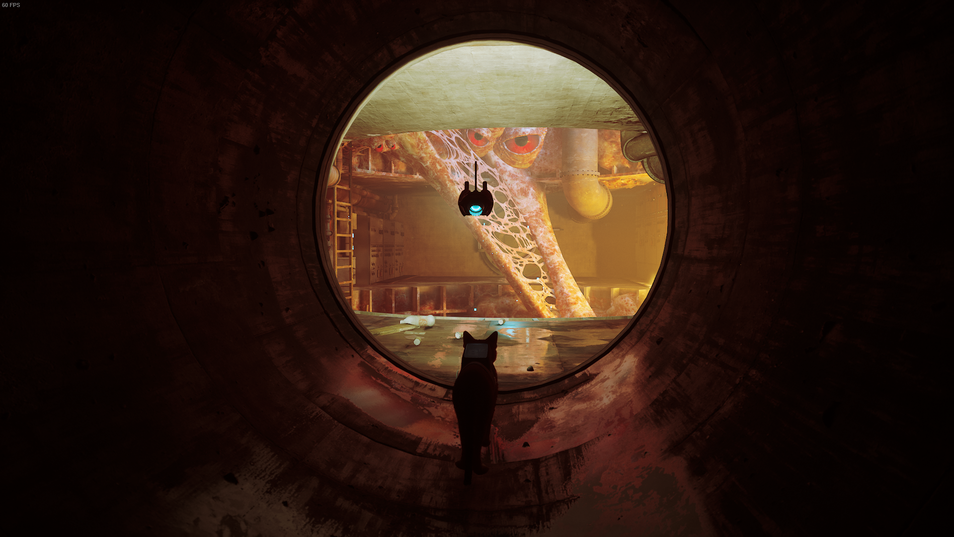 The cat of Stray looks into a Zurk infested cave.