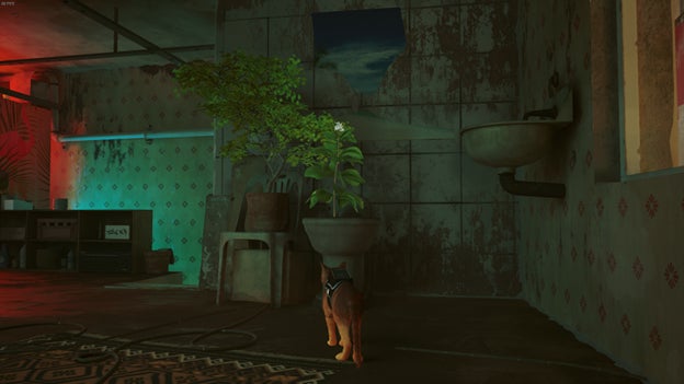 The cat looks at a plant growing from an old toilet in Elliot's flat in Stray. - 6