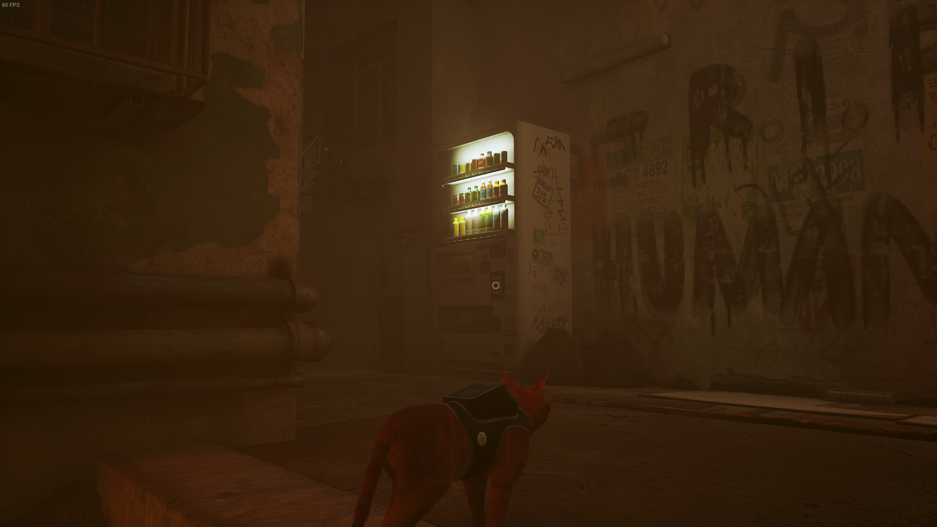 The Outsider, a cat, faces a Vending Machine in The Slums of Stray, beside graffiti reading &lsquo;R.I.P. HUMANS&rsquo;.