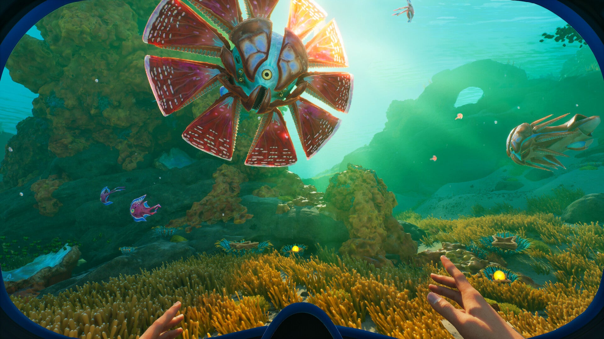 A sunny patch of seafloor in Subnautica 2 with a big orange fish with radial fins in view - 4