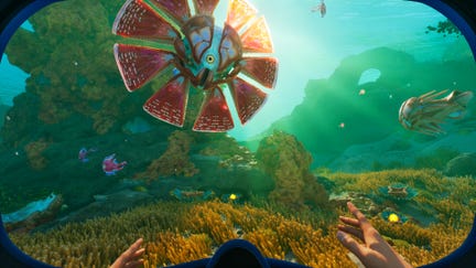 A sunny patch of seafloor in Subnautica 2 with a big orange fish with radial fins in view