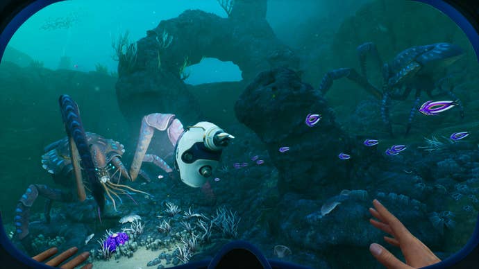 The player looking at some crabs and a bit of tech in Subnautica 2.