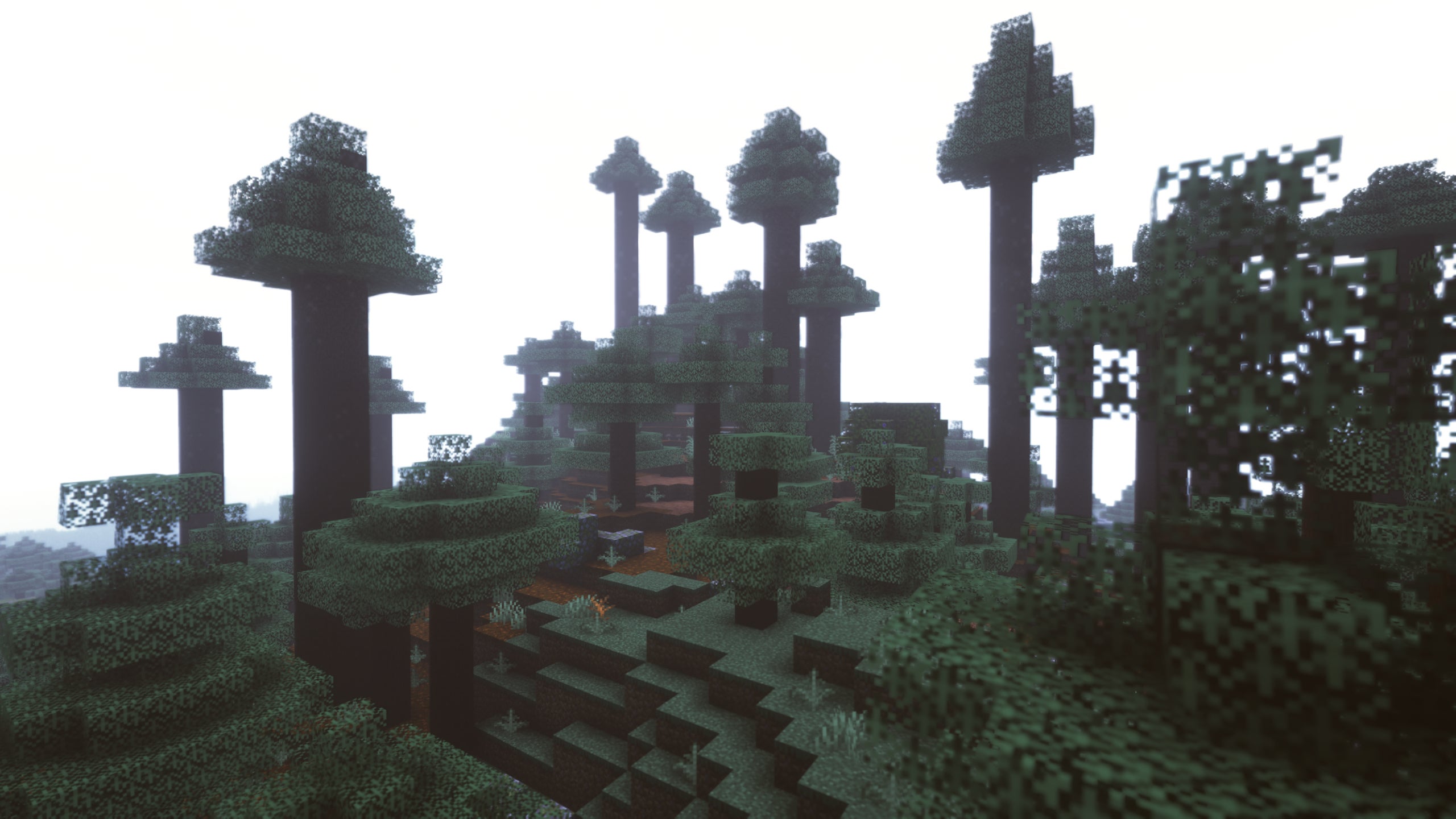 A forest landscape in Minecraft with many tall trees and Sunflawer Shaders installed.